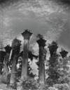 LAUGHLIN, CLARENCE (1905-1985) "'The Enigma' (Windsor Plantation, near Port Gibson, Mississippi)."